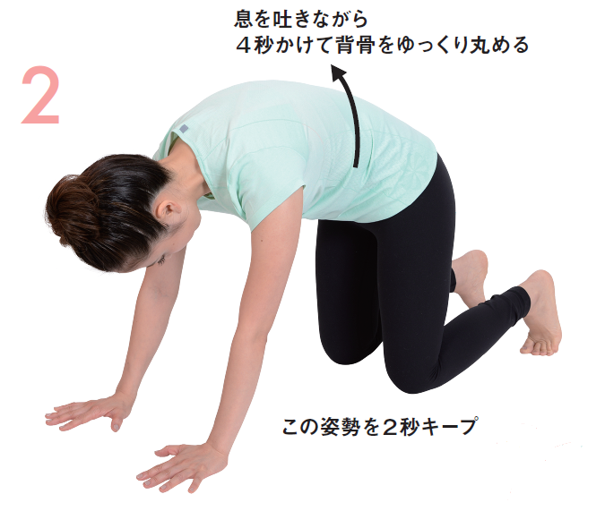 ゆる関節ストレッチ①背骨を丸める　