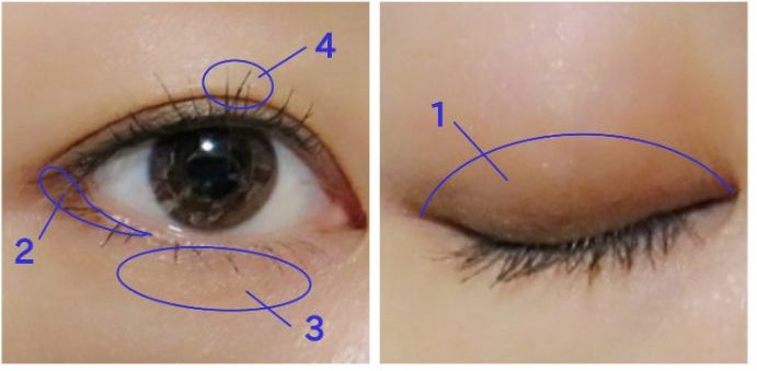 天海祐希メイク・アイメイク図入り