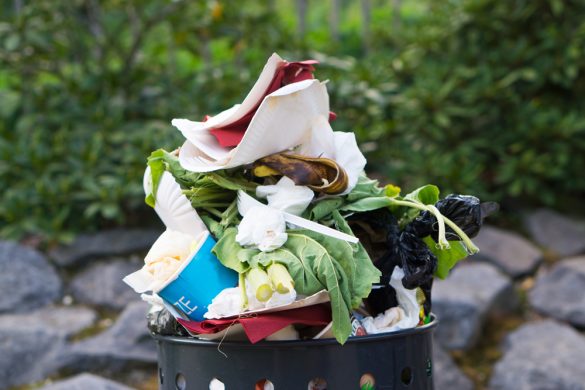 食品廃棄物（ゴミ）