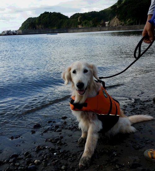 ライフジャケットを着て笑うケフィ