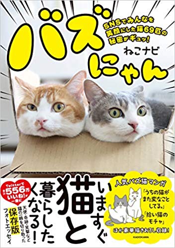 フォトエッセイ『バズにゃん SNSでみんなを笑顔にした猫69匹の秘密がギュッ!』