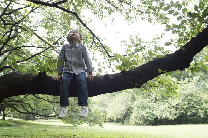 少年秘密基地子供