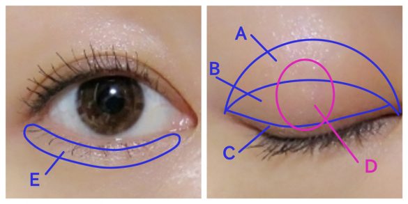 KATE「ザ　アイカラー」キュートなモテアイメイク