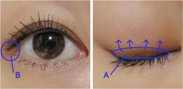 アイメイク図解