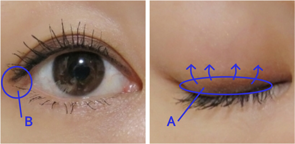 アイメイク図解