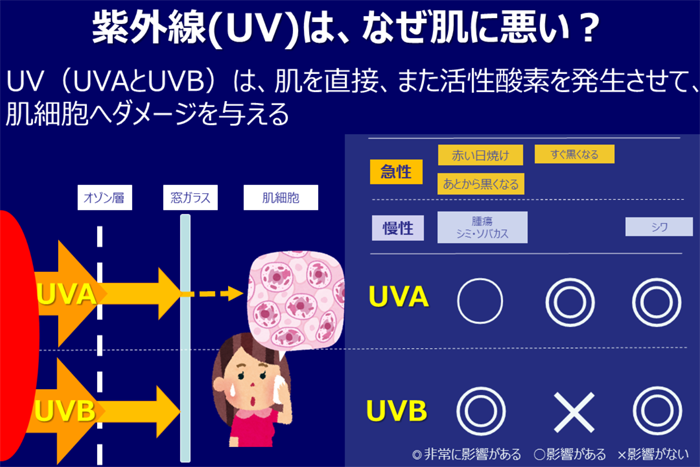 UVA（A波）とUVB(B波)