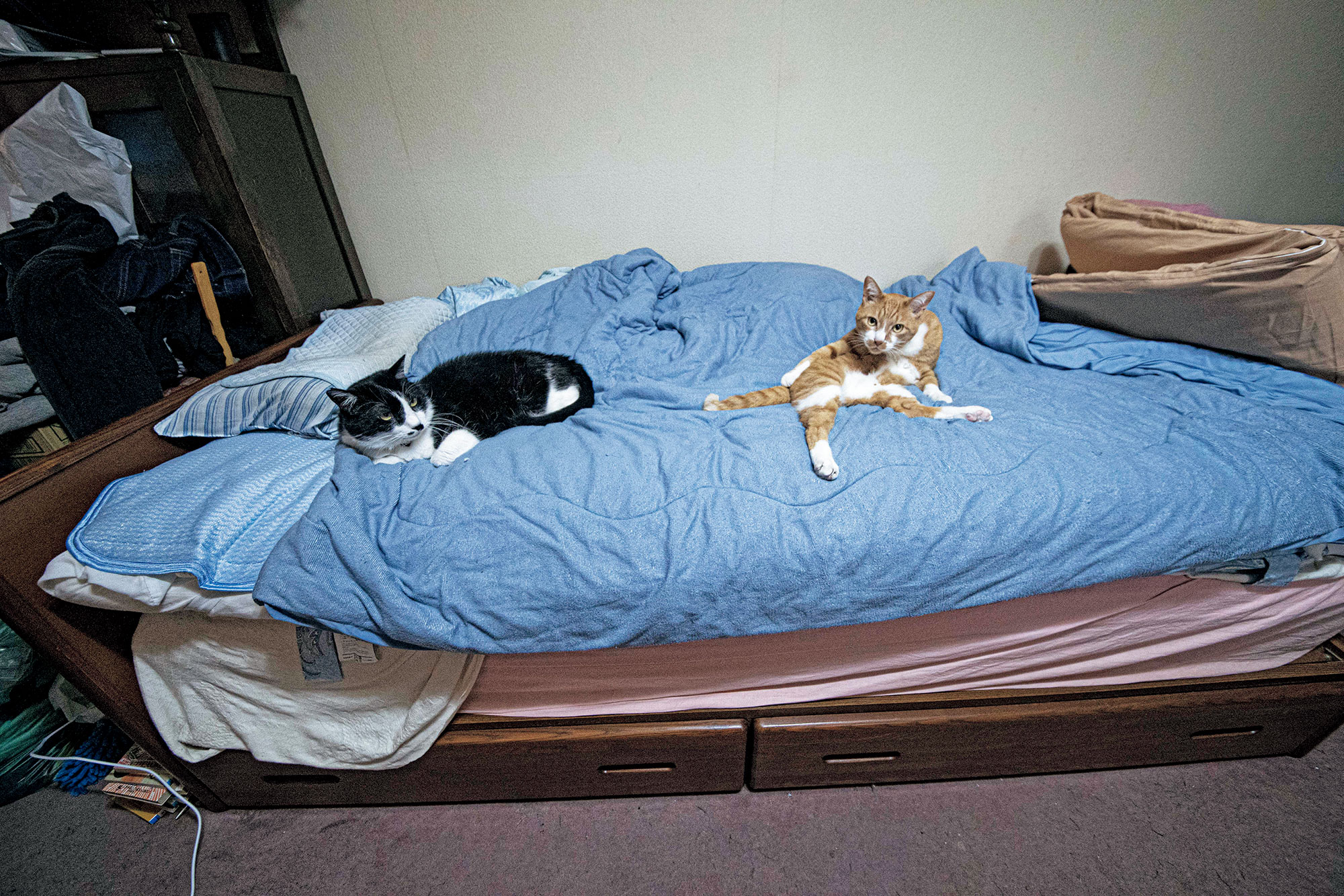 病気になる暮らし方　ペット