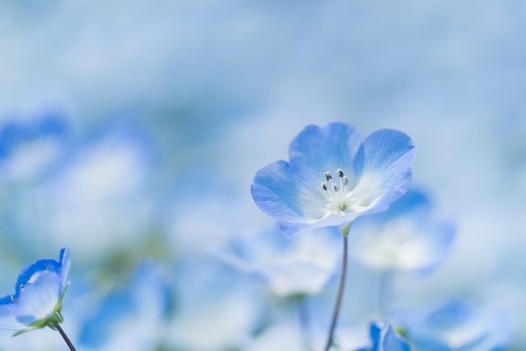 性別よりも個人を尊重するとは