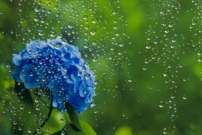 あなたはご主人に100%満足していません