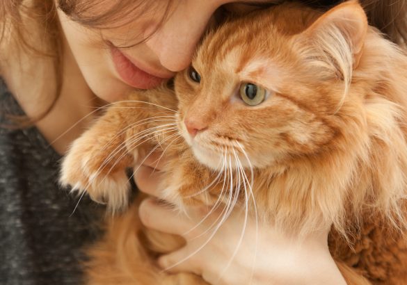 猫と女性