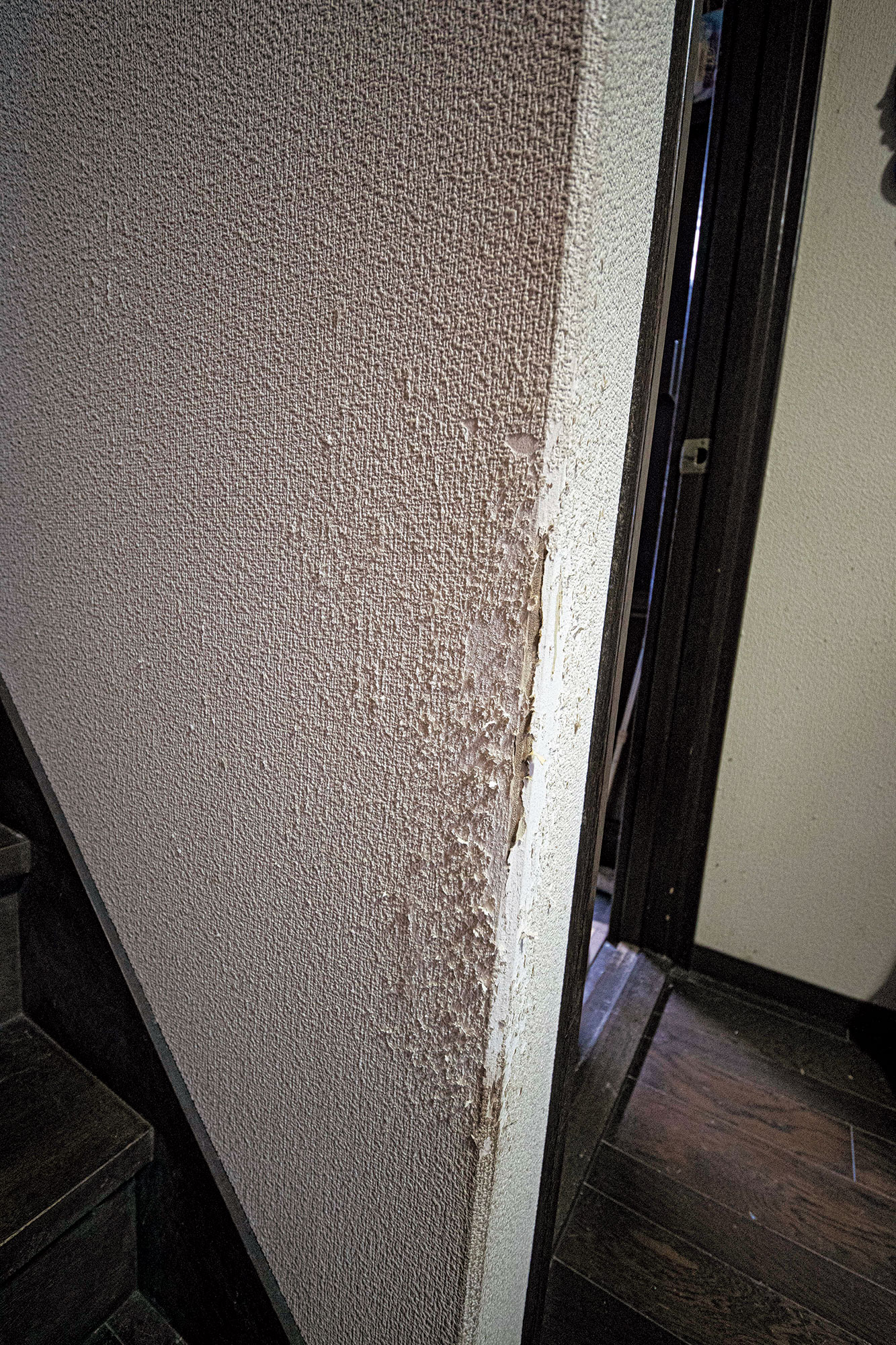 病気になる暮らし方　ペット