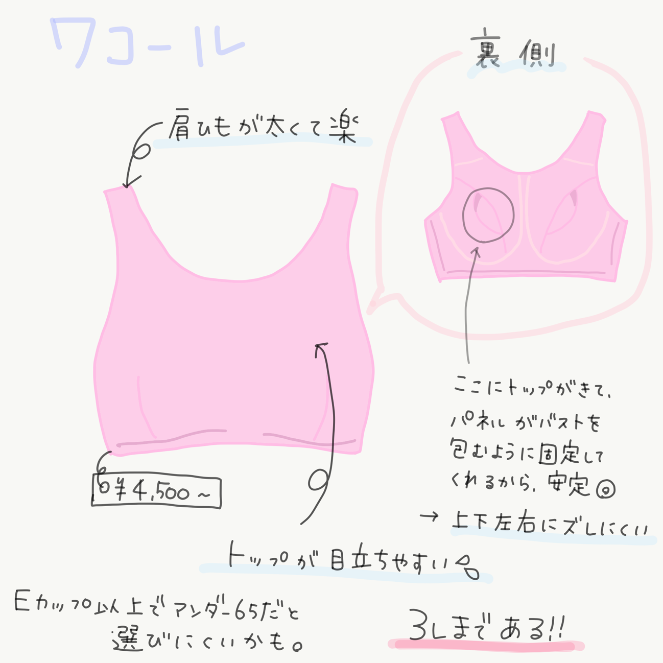 ワコール「ナイトアップブラ」￥4,500～