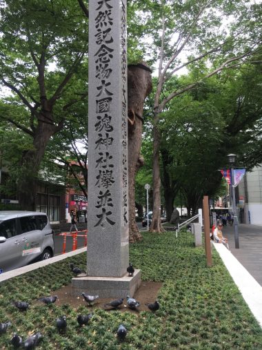 駅前のケヤキ並木