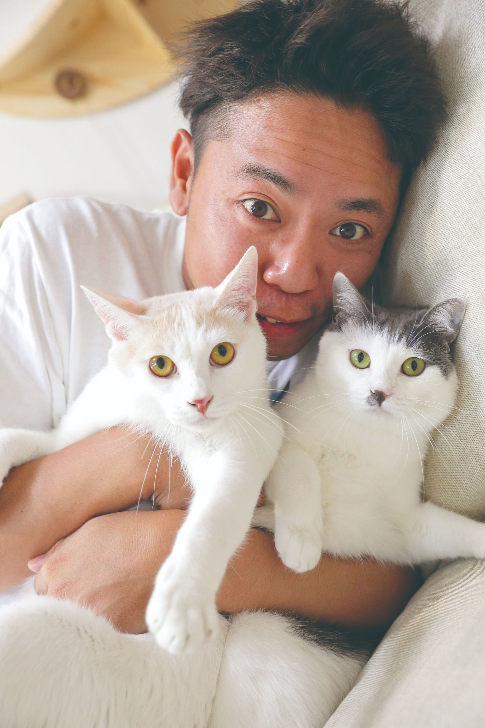 『空前絶後の保護猫ライフ! 池崎の家編』(宝島社)