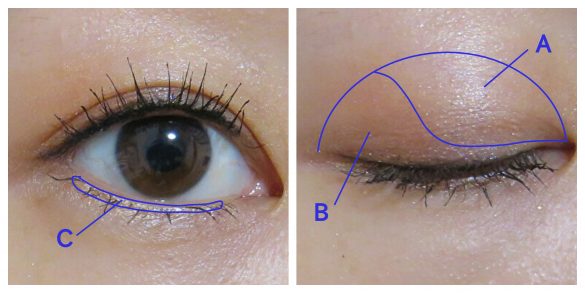 KATEアイシャドウ図入り