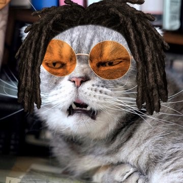 ココくん、飼い主・なお(@nao_co5）さん