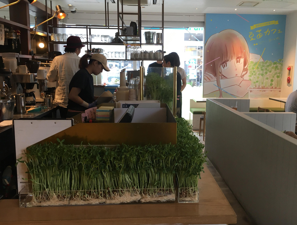 豆苗カフェ（期間限定）店内の様子