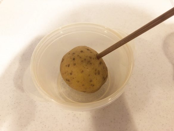 お箸もすんなり刺さりました