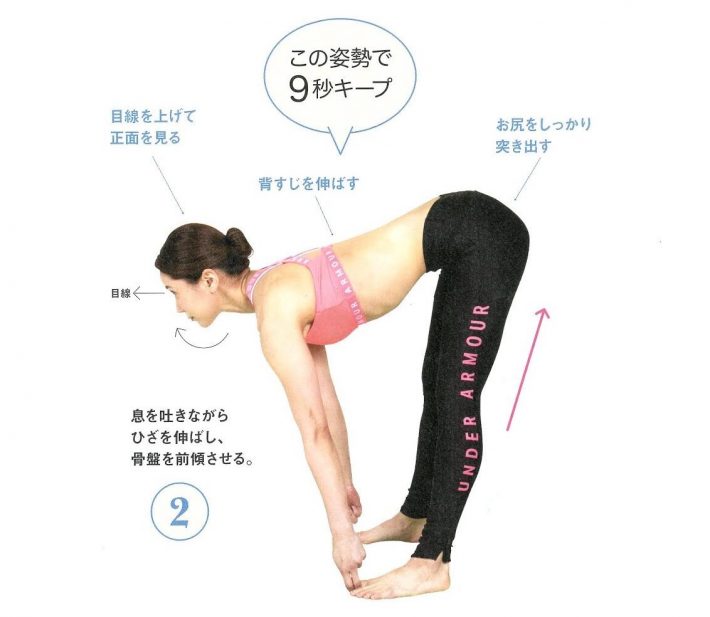 フロッグライズ2