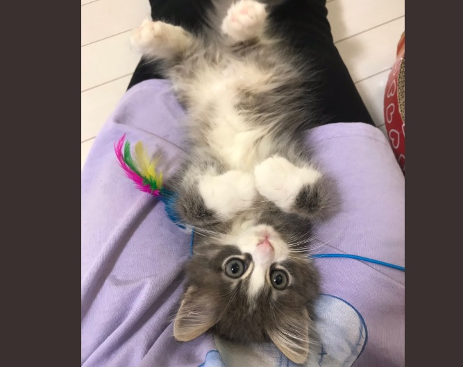 添い寝フレンド