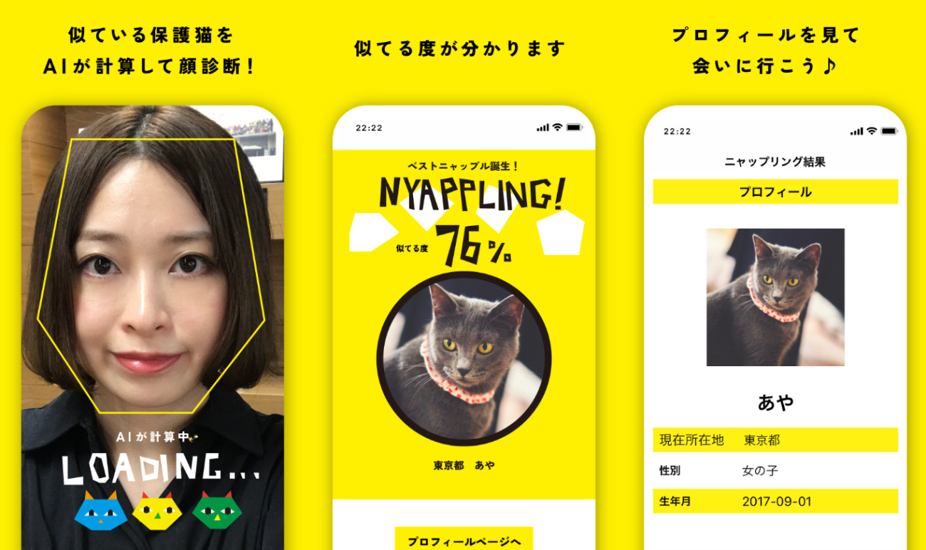 ネコノラボ「NYAPPLING」保護猫　里親