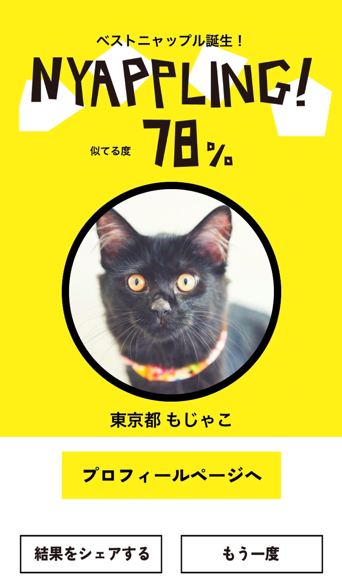 ネコノラボ「NYAPPLING」保護猫　里親