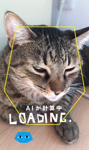 ネコノラボ「NYAPPLING」保護猫　里親