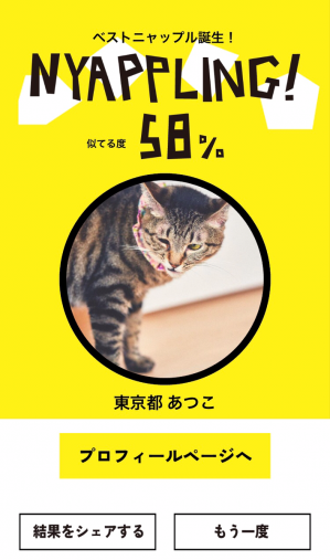 ネコノラボ「NYAPPLING」保護猫　里親