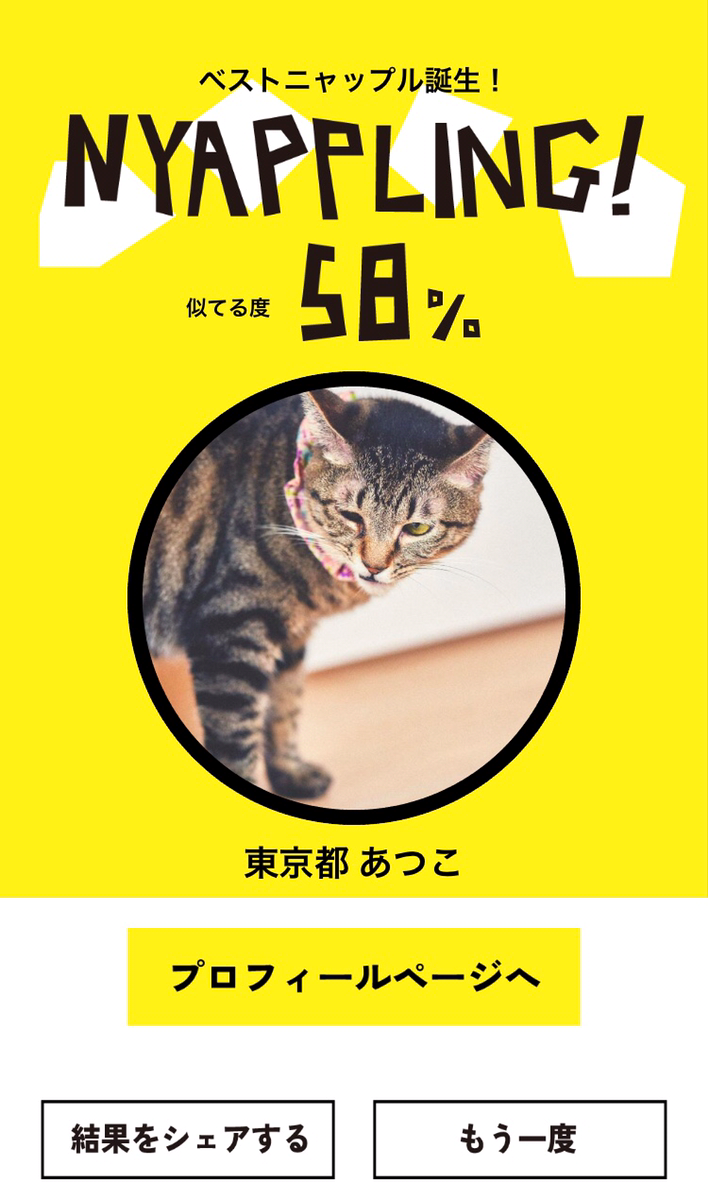 ネコノラボ「NYAPPLING」保護猫　里親