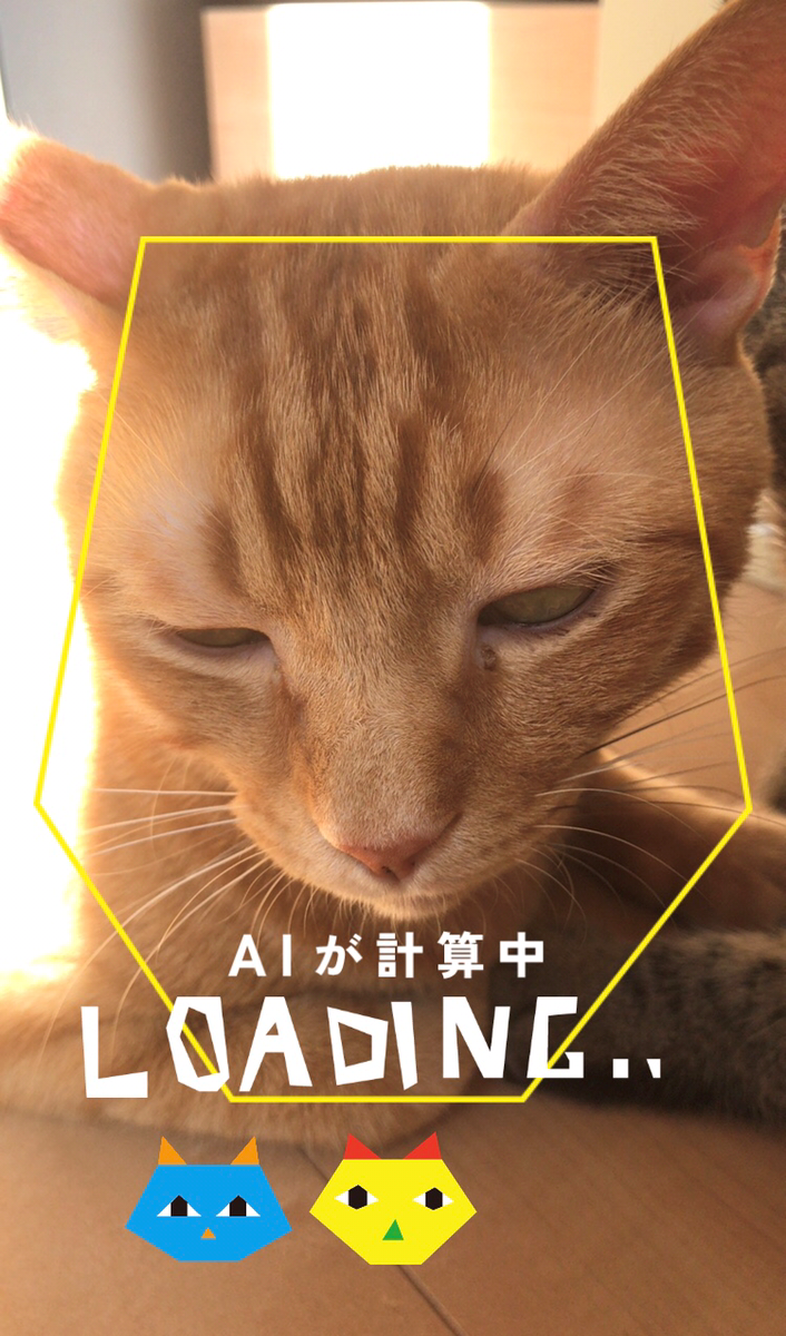 ネコノラボ「NYAPPLING」保護猫　里親