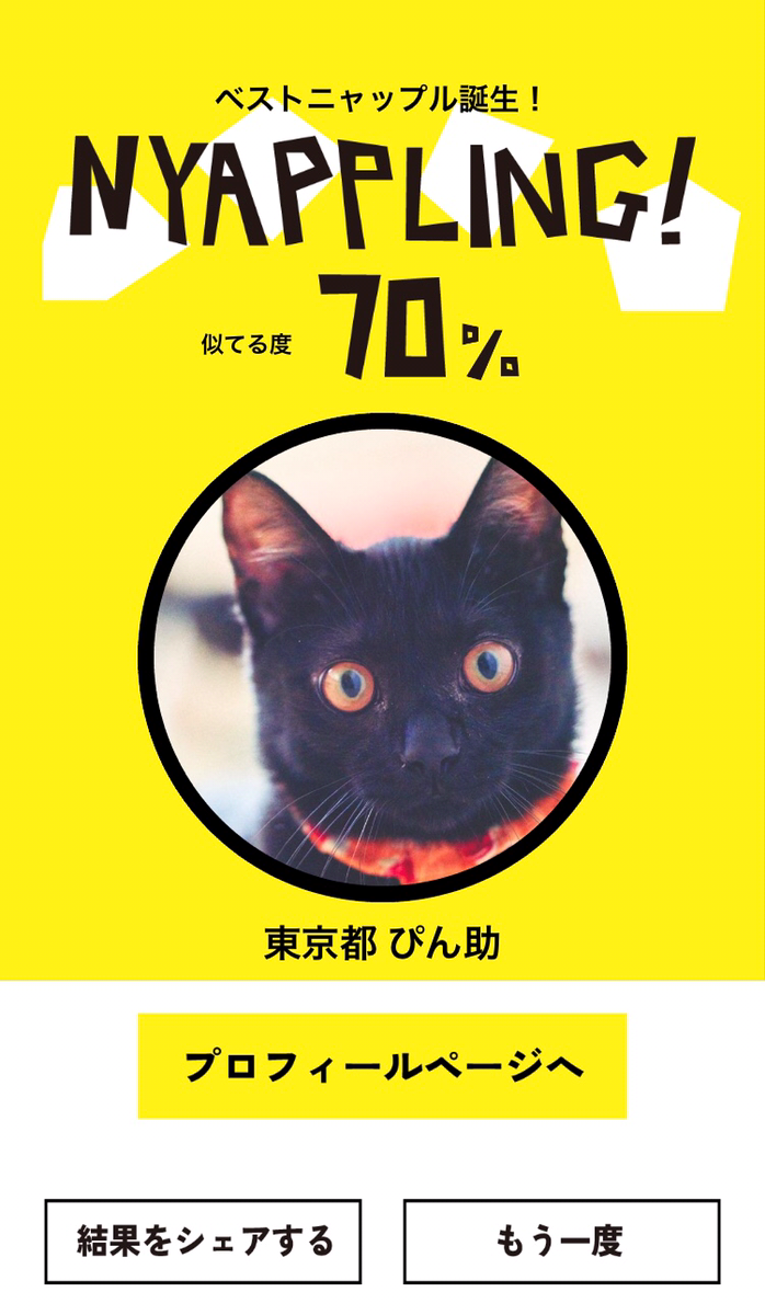 ネコノラボ「NYAPPLING」保護猫　里親