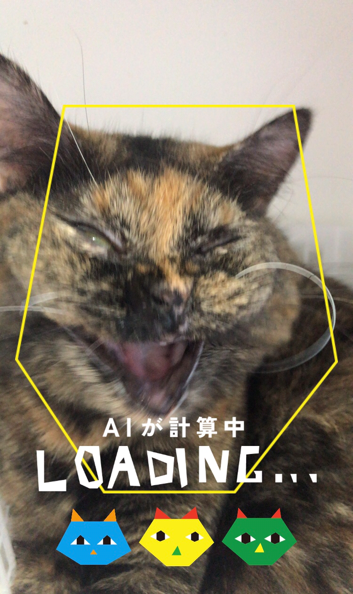 ネコノラボ「NYAPPLING」保護猫　里親