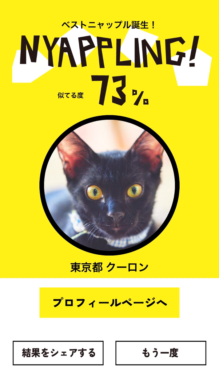 ネコノラボ「NYAPPLING」保護猫　里親