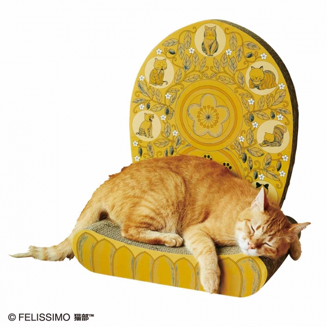 寝心地がよさそうなモデル猫・ししゃもくん