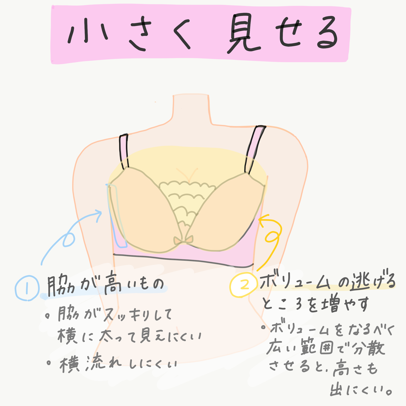 大きいバストはこう見せる！痩せ見えの法則　小さく見せる