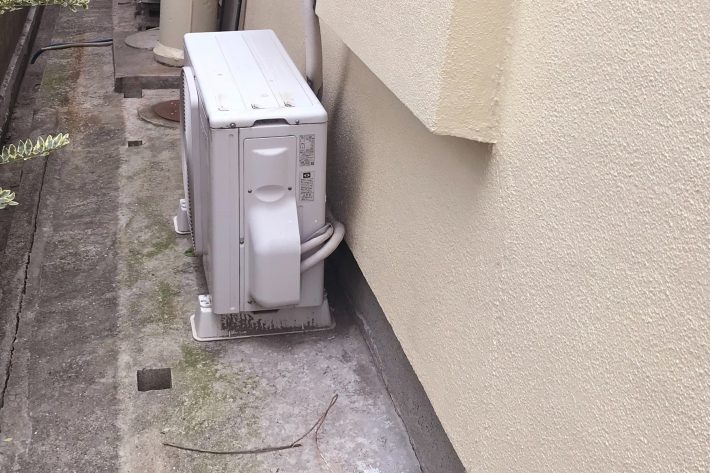 実際に野良猫が住み着いていたという路地裏