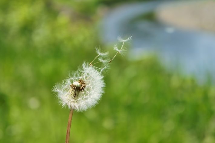 母親役を求めているのか見極める方法