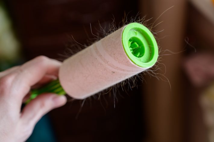 服についてた猫毛で不倫がバレる