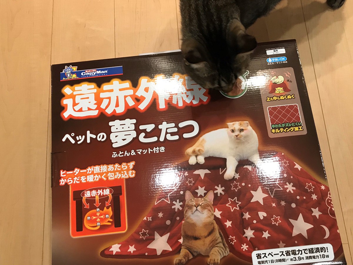 遠赤外線ペットの夢こたつ　ペット　猫　犬