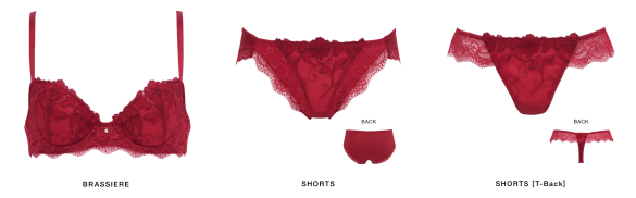 ルーチェスト 「プッシュアップブラ　 3／4カップブラ」￥ 3800～ 「ノーマルショーツ」￥ 1800 「ソング・Tバックショーツ」￥ 1800