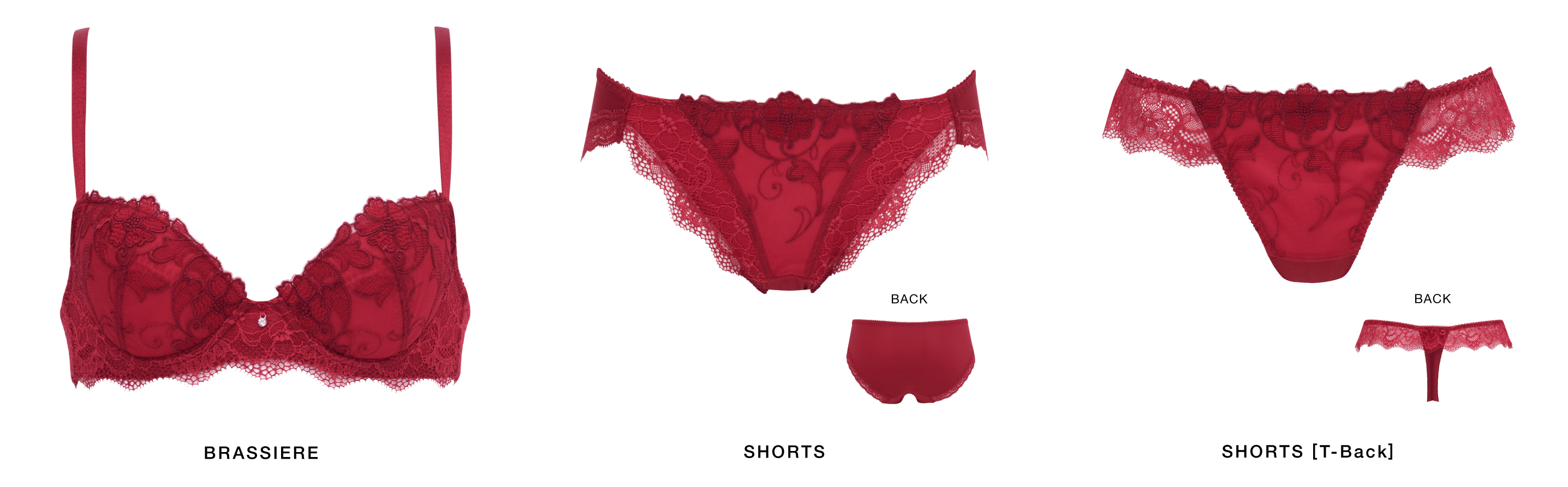 ルーチェスト 「プッシュアップブラ　 ３／４カップブラ」¥ 3800～ 「ノーマルショーツ」¥ 1800 「ソング・Ｔバックショーツ」¥ 1800