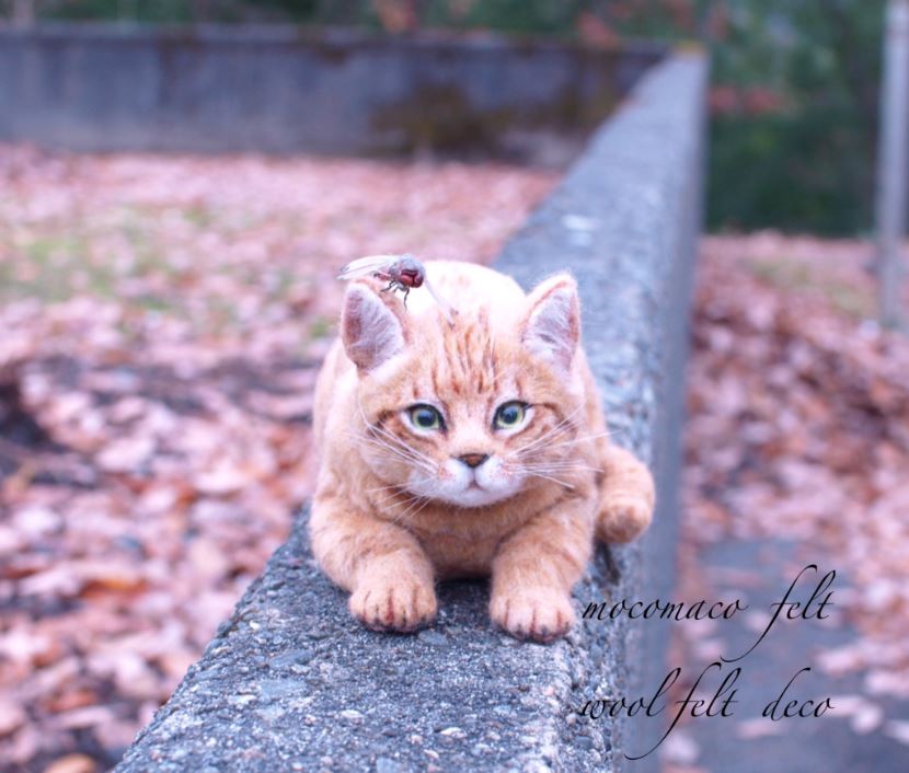 @MocomacoFさんの羊毛フェルト作品　茶トラ猫と赤トンボ