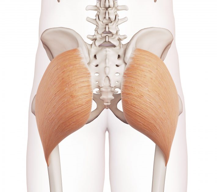 「大殿筋」の図