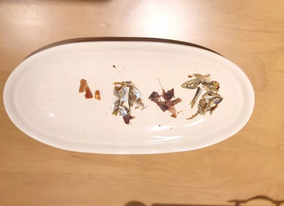 イオンペット「国産 猫用おにくとおさかなのおせち」　ペット用おせち