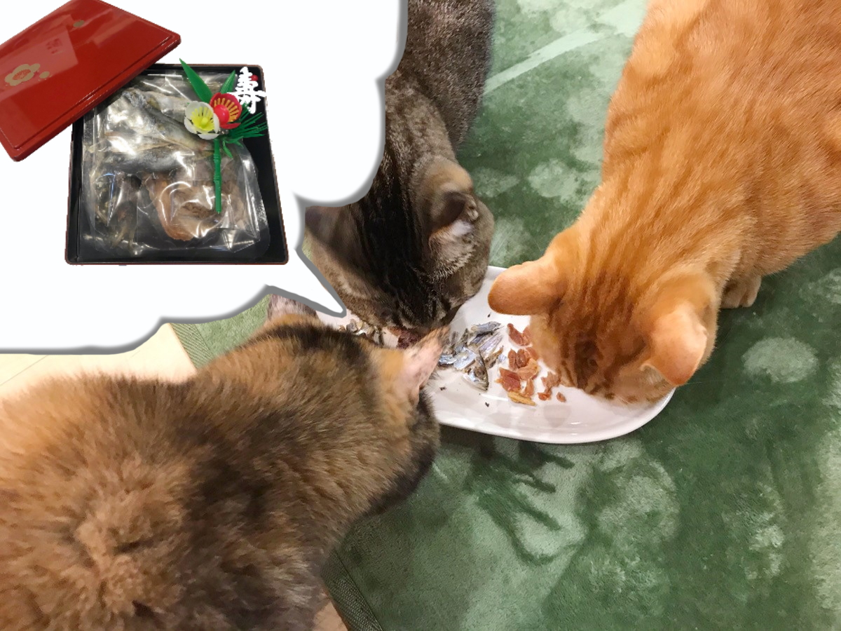 イオンペット「国産 猫用おにくとおさかなのおせち」