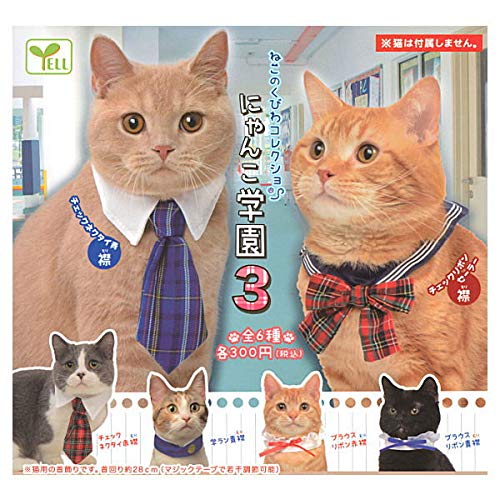 ねこのくびわコレクション にゃんこ学園3