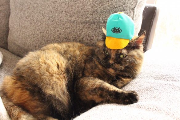 Petio（ペティオ)「のせぐるみ」520円（税込み）