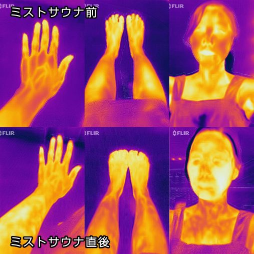 ミストサウナビフォーアフター