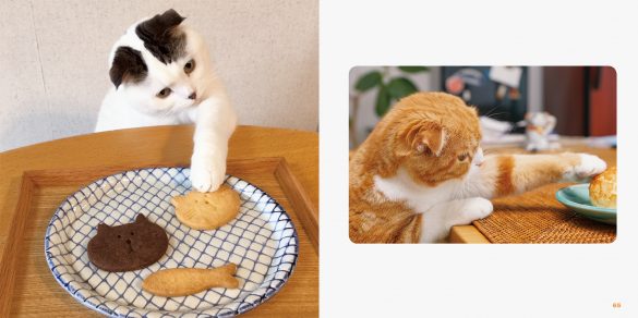 パイ インターナショナル『もっと ねこのおてて』