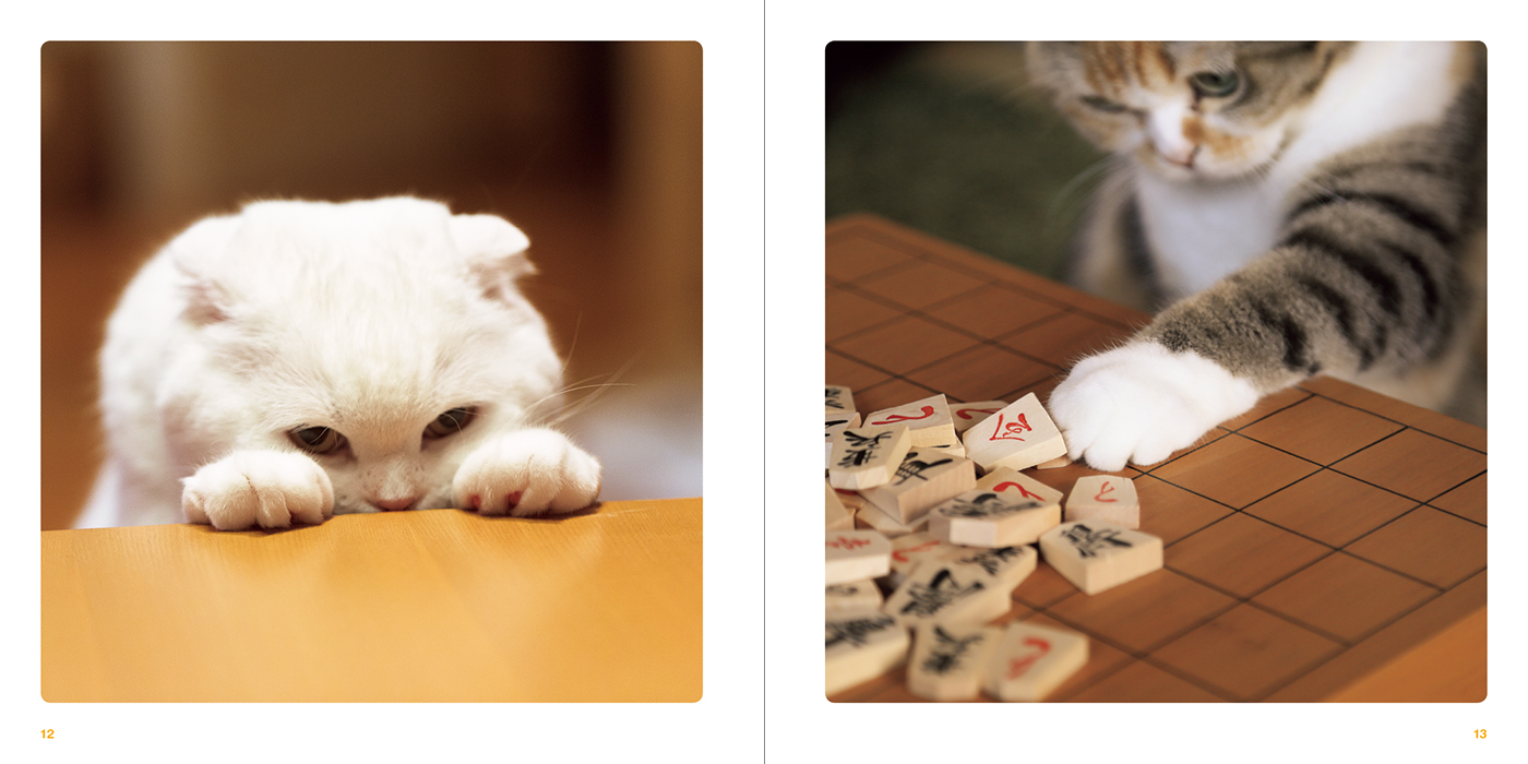 パイ インターナショナル『ねこのおてて』